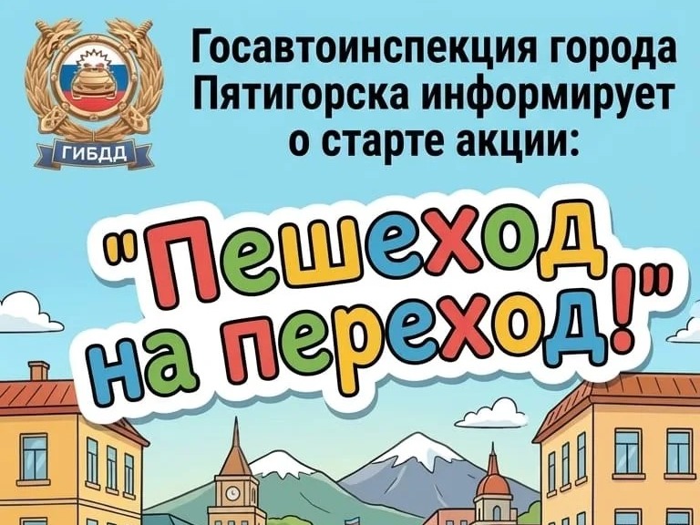 Профилактическое мероприятие «Пешеход на переход».